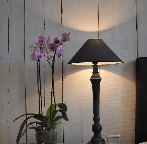 Frost Boutique 4* Pärnu